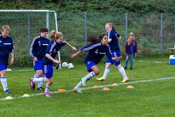 Bild 24 - Frauen FSC Kaltenkirchen - SG Wilstermarsch : Ergebnis: 0:2